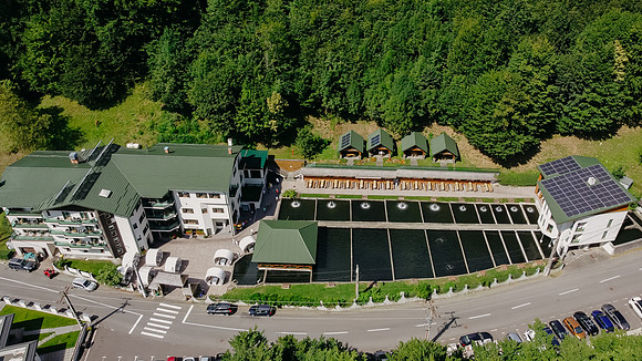 2407818 - Lostrita-1104