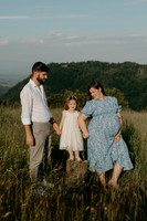 260619 - sesiune foto familia Farcas_1001