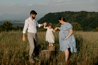 260619 - sesiune foto familia Farcas_1008