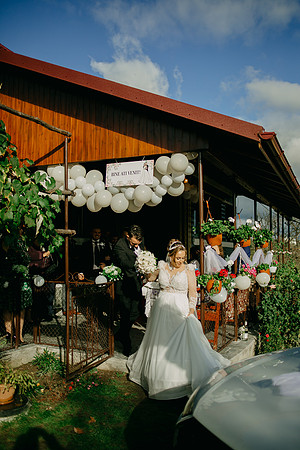 241012 - Lavinia & Ionut_1328