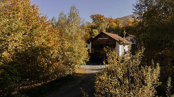 241023 - cabana Berner_1010