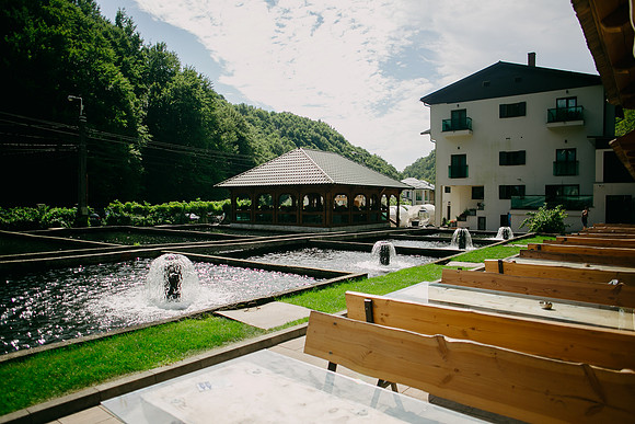 2407818 - Lostrita-1023