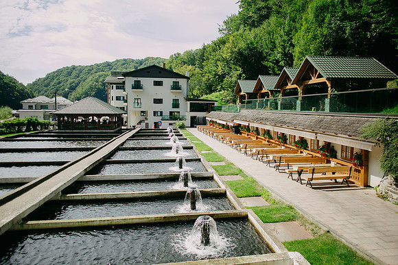 2407818 - Lostrita-1019