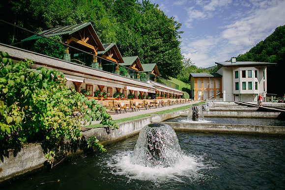 2407818 - Lostrita-1011