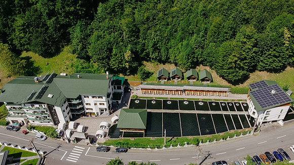 2407818 - Lostrita-1105