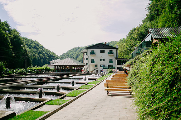 2407818 - Lostrita-1015