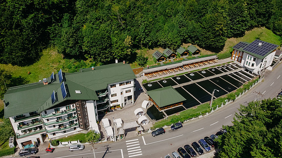 2407818 - Lostrita-1106