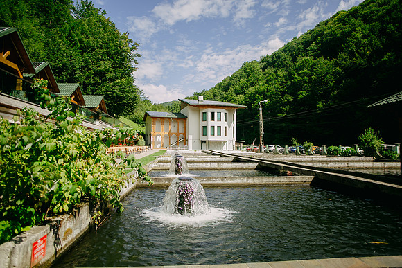 2407818 - Lostrita-1026