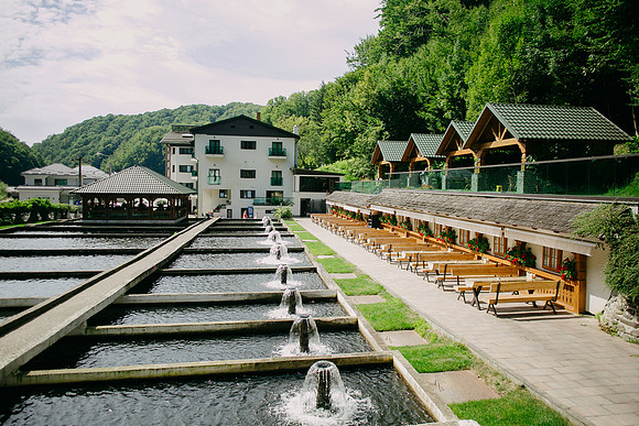 2407818 - Lostrita-1020